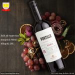 Rượu Vang Argentina Portillo Malbec