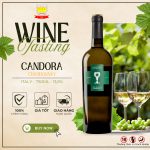 RƯỢU VANG CANDORA CHARDONNAY