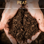 Peat Là Gì? Bí Mật Tạo Nên Hương Khói Của Whisky