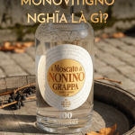Monovitigno: Bí Mật Đằng Sau Những Chai Grappa Thượng Hạng